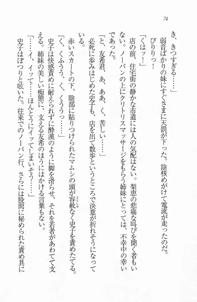 メイド喫茶 猫の隠れ家