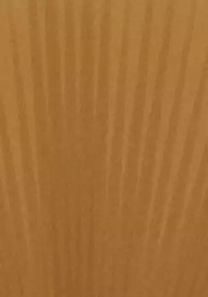 Break Time with Primaries at the Net Cafe