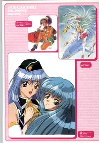 (一般画集) [F&C] バーチャコール シリーズ設定原画集