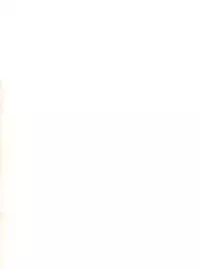 (C41) [S'SENSE (Ena Mi)] Dream Palace (Idol Densetsu Eriko)