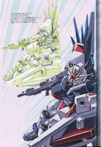 (C73) [HenReiKai (Kawarajima Koh)] SEED ANOTHER CENTURY D.E 5 (Gundam SEED)