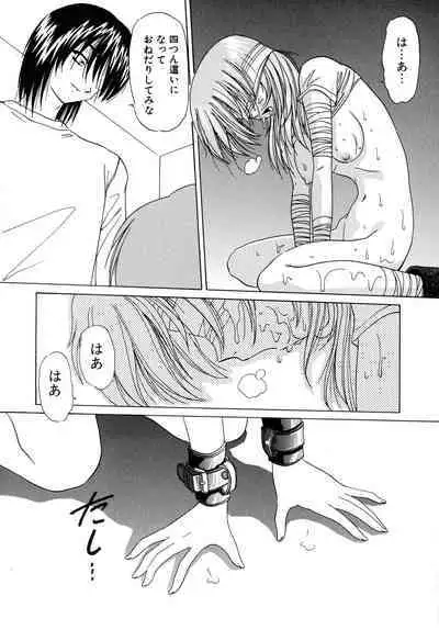 Aigan Bishoujo-teki Seikatsu no Susume