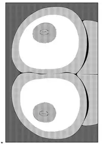 [Watosato (Sugiura Sen)] Ketsu Darake Touhou Soushuuhen Series 2 (Touhou Project) [Digital]