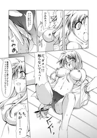 (C74) [TRICKorTREAT (Kagura Tsukune)] InSulT II (Mahou Shoujo Lyrical Nanoha)