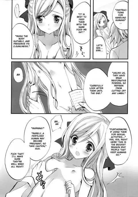 Ningen Toriatsukai Setsumeisho