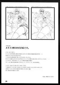 (C73) [TRiPLE "N" (Honma Nanana)] Princess Cage Wonder (Ragnarok Online)