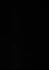 (Puniket 33) [Waffle Doumeiken (Tanaka Decilitre)] Namapako - Girl Meets Chinpo (Kuma Miko)