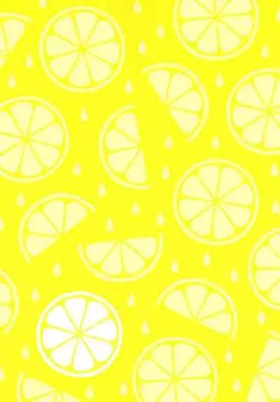 Joshikousei Orin 2 | 女高中生阿燐2