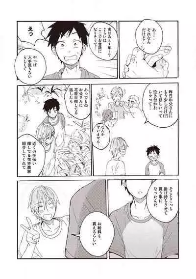 Hatomugi Batake de Tsukamaete - The Catcher in the Hato