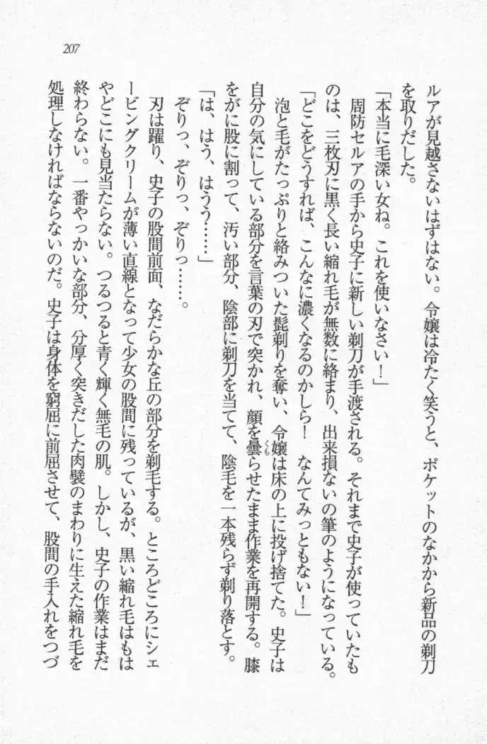 メイド喫茶 猫の隠れ家