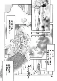 [Teshigawara Kosuke] Sweet Lili (Various)