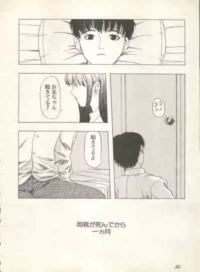 Shin Bishoujo Shoukougun 4 Houou hen