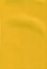 (SC29) [I&I (Naohiro)] SHINJI 04 - rei & askua (Neon Genesis Evangelion)