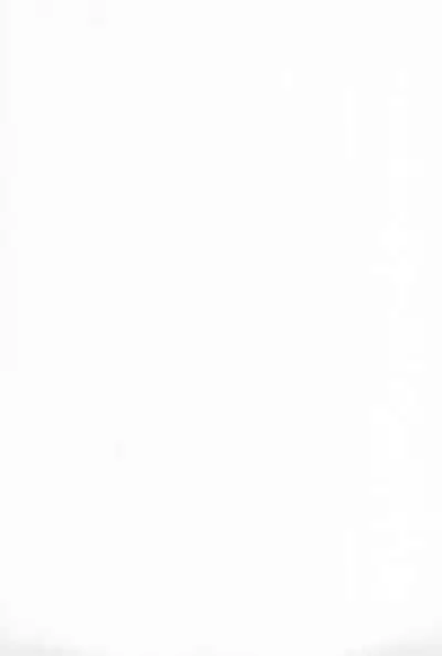 Speed Star no Yuuutsu