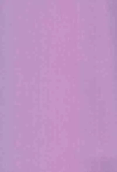 Saidaikyuu no Munasawagi