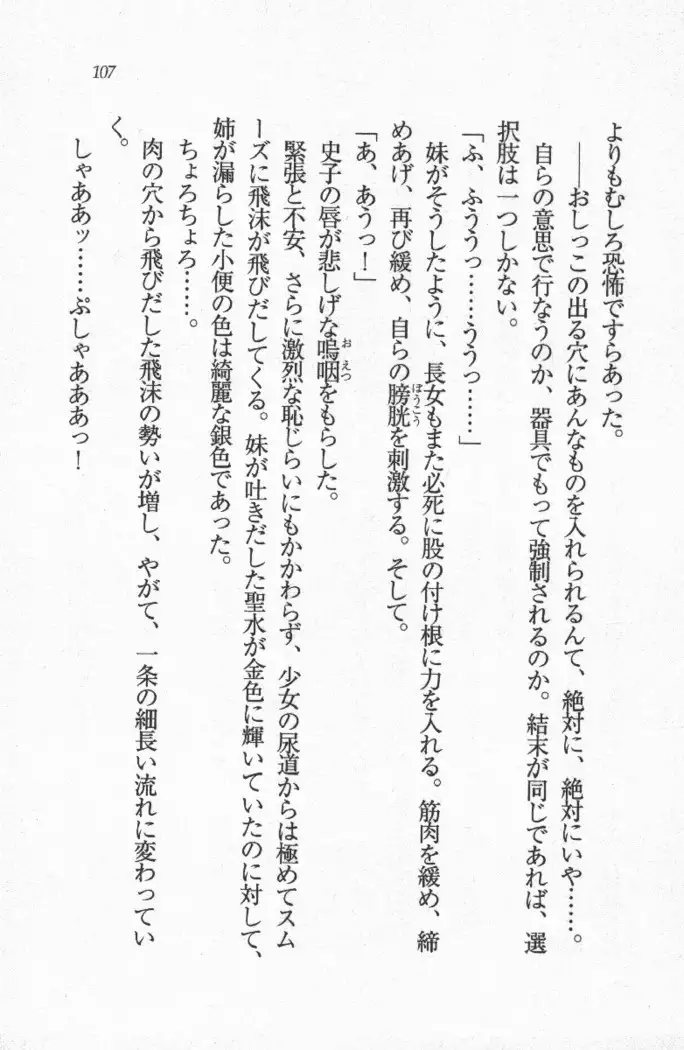 メイド喫茶 猫の隠れ家