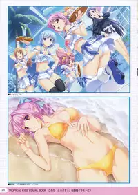 TROPICAL KISS VISUAL BOOK - Torokisu