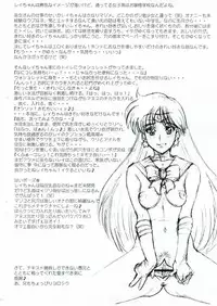(C68) [Niku Ringo (Kakugari Kyoudai)] Nippon Mokusei (Sailor Moon) [English]